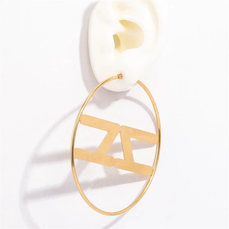 stainless steel hoop earrings for women